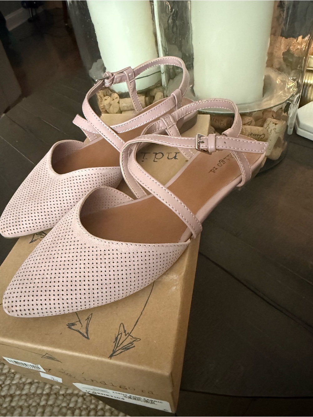 Indigo Rd. Genetic Pointed Toe Vegan Friendly Slingback Flats (USED ONCE)